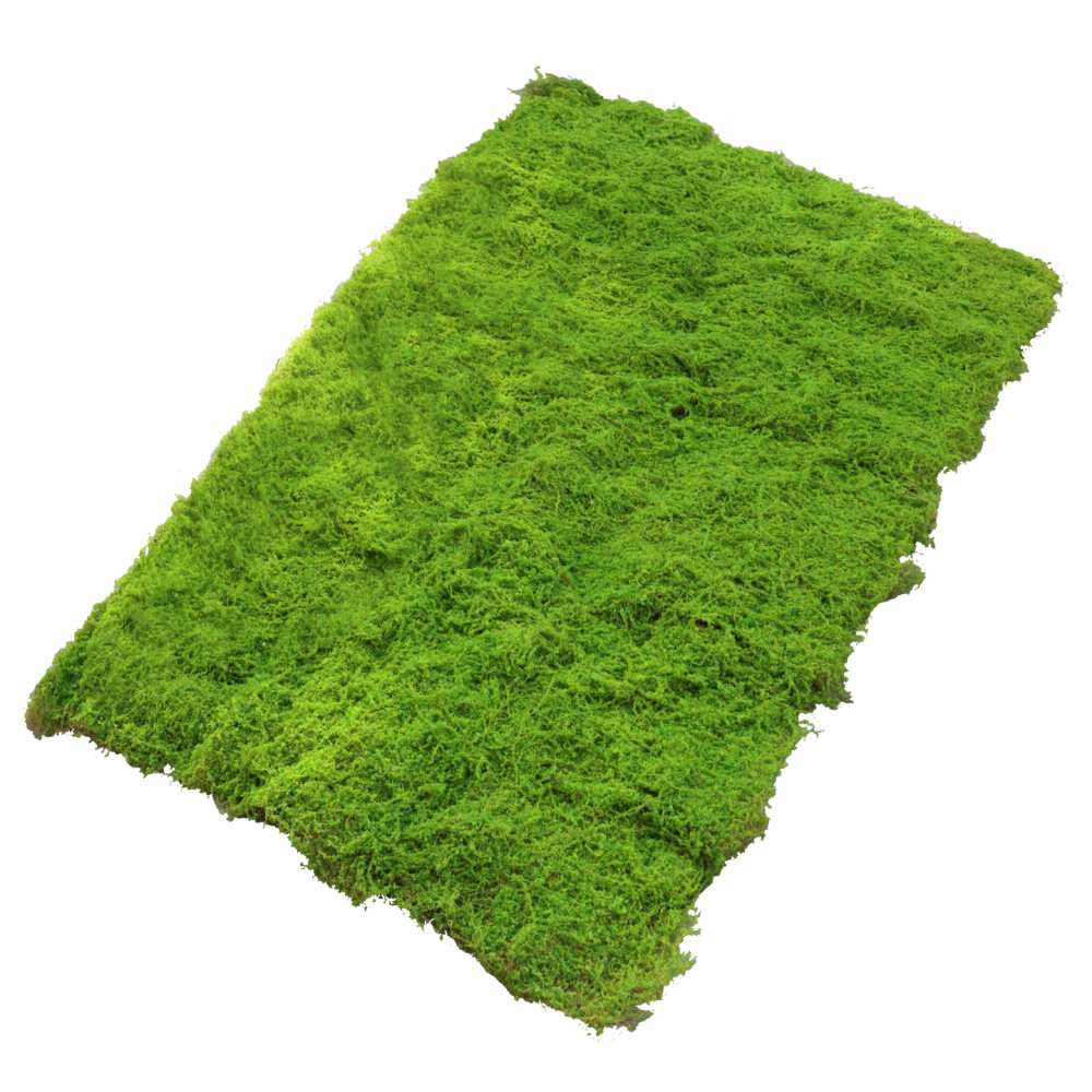 Sztuczna mata z imitacji mchu, – Preserved Moss Sheet recenzja i cena